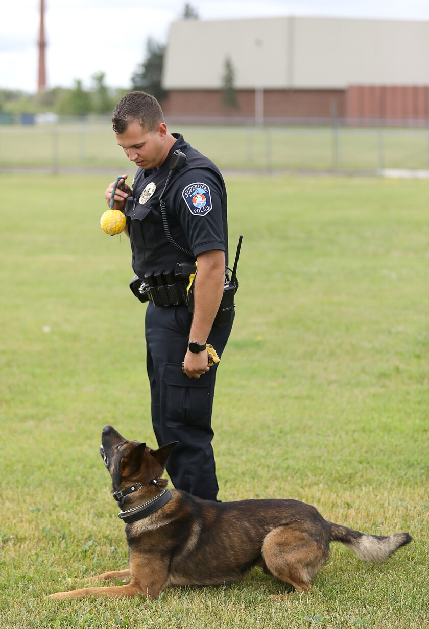 Superior K9, Radik, waits at the feet of K9 Officer Tyler Rude