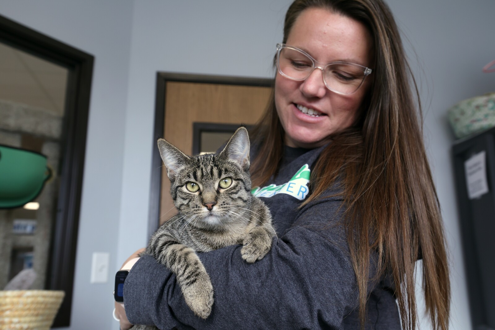 Shelter pets get Thanksgiving treats thanks to Fargo pet store’s cat, dog feasts – InForum Shelter pets get Thanksgiving treats thanks to Fargo pet store’s cat, dog feasts – InForum