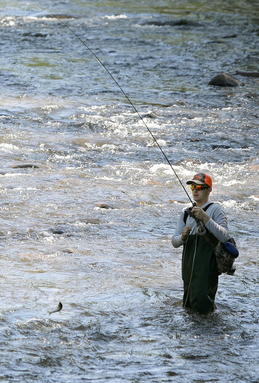 Travis Johnson reels in a catch as he fishes on the Brule River