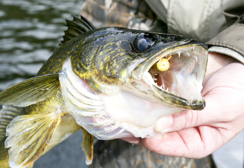 Wisconsin fishing opener may be dogged by late iceout on northern