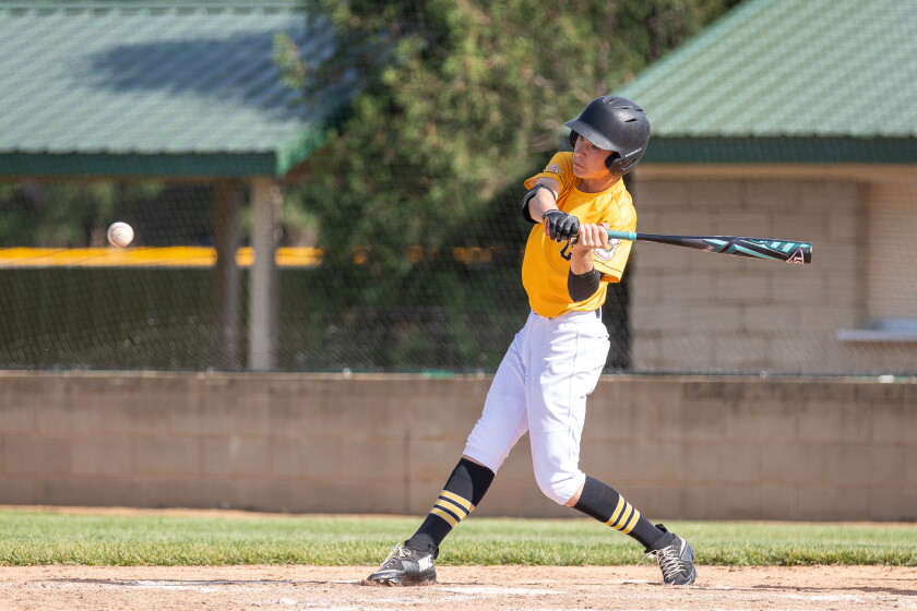Palace City youth baseball roundup for June 16: Post 18 Juniors split ...