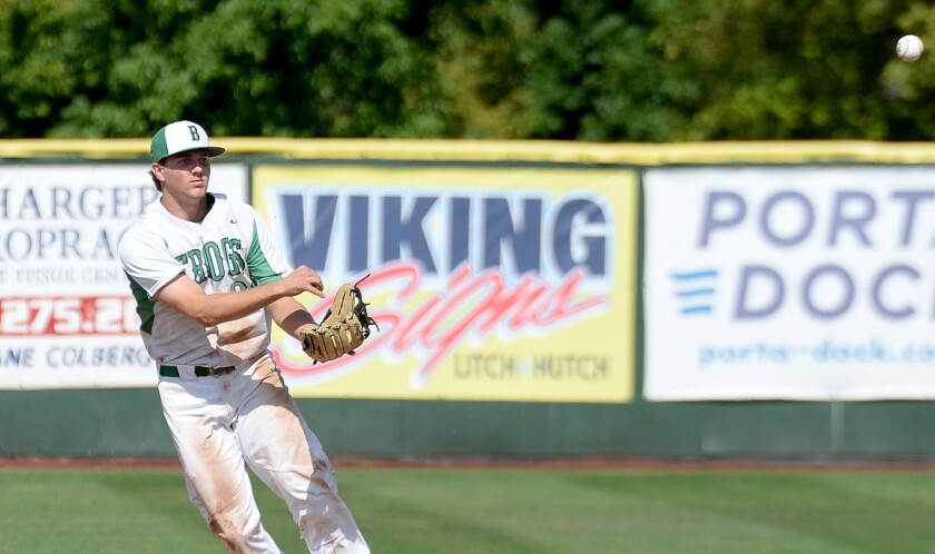 Amateur baseball: Bird Island Bullfrogs advance to the elite eight ...