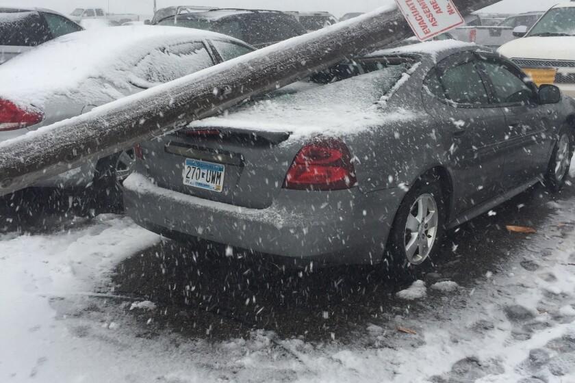 2975879+111916.n.wct_.Blizzard1b.jpg