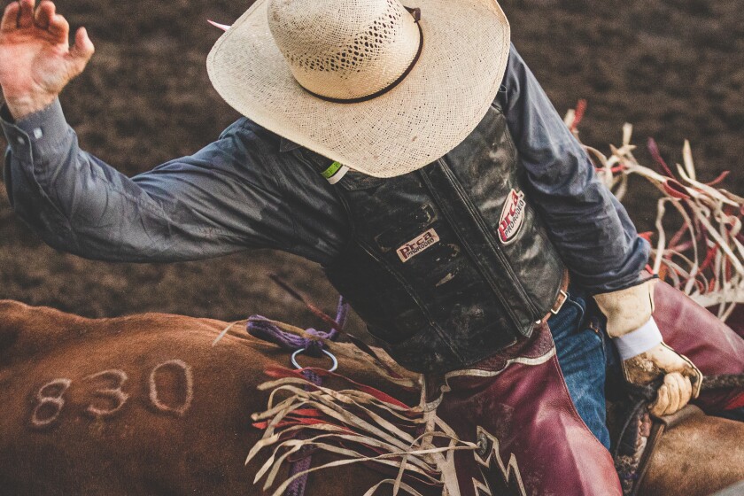 Final results from 51st Corn Palace Stampede Rodeo in Mitchell ...