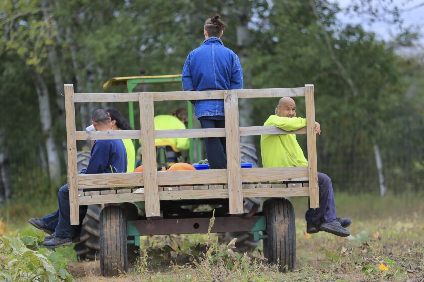 Farm scene at rural correctional facility