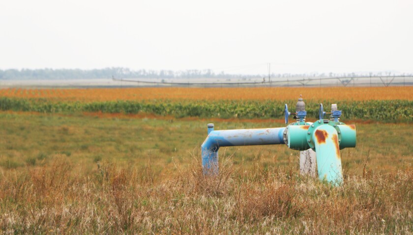092021.AG.DroughtMcCluskyCanalIrrigation05.jpg