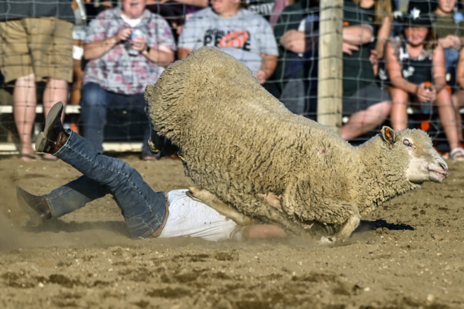 081421.ScottieStampede81.jpg