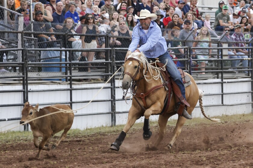 Spring Fever Days rodeo provides community connection - Cloquet Pine ...