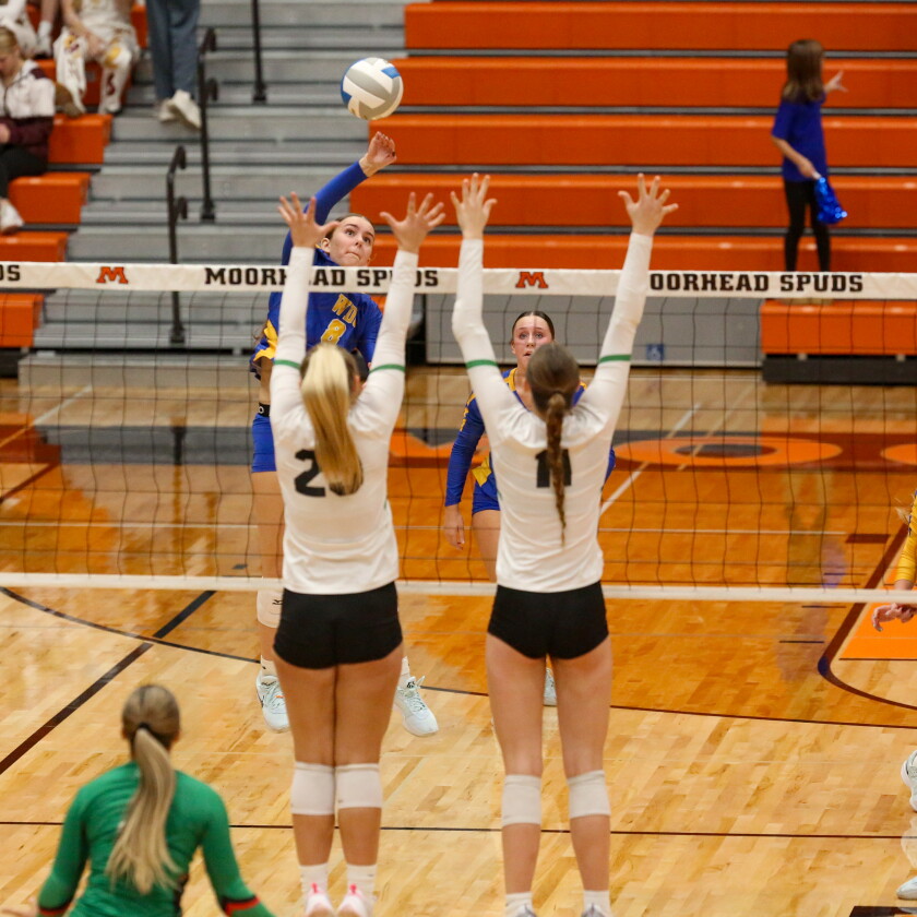 Madison Rinio Payton Gravelle's big match leads Wadena-Deer Creek to Section 8AA ...