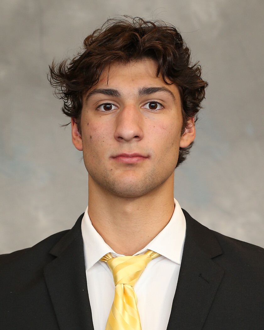 Noah Ribka NCHC roundup: North Dakota makes statement with sweep of Denver, takes ...