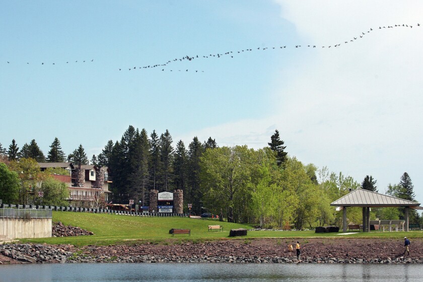 903529+kingGEESE0611c1.jpg