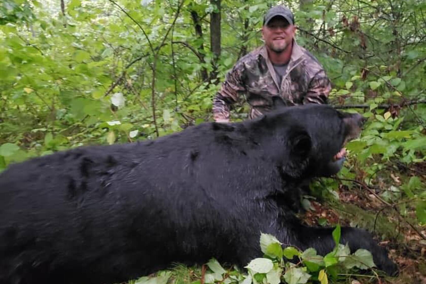 Brainerd man charged with shooting and killing 700-pound black bear on