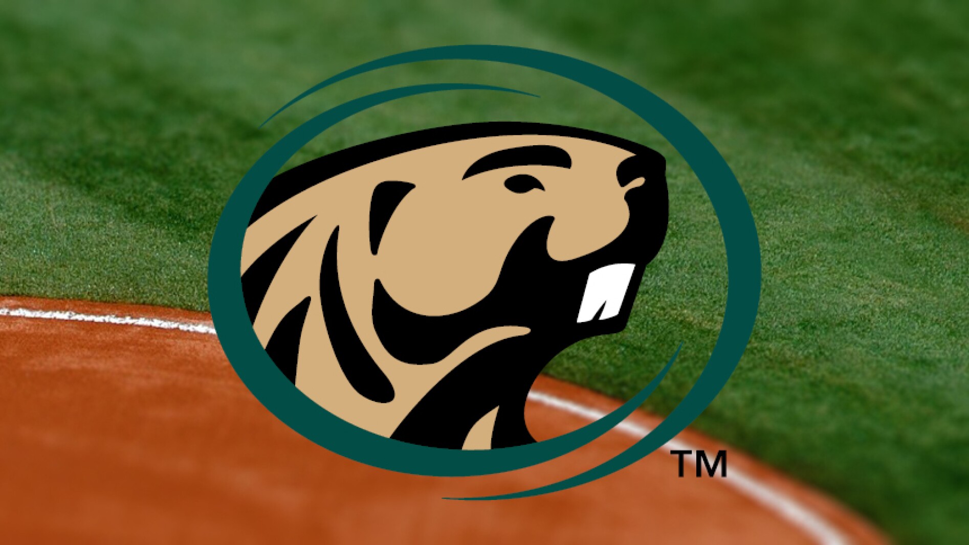 Bemidji State Softball Schedule Bemidji State Softball Schedule