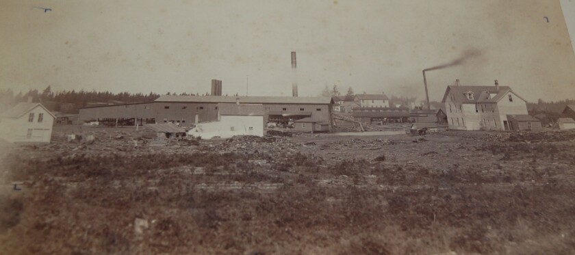 Gull River Village looking west
