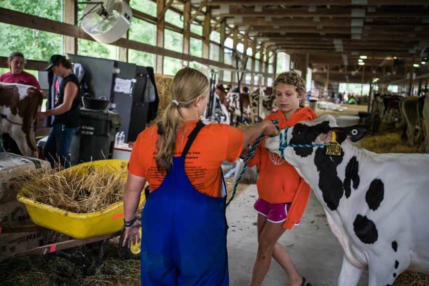 Wabasha County Fair