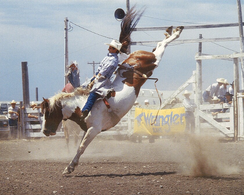 Wayne Herman, pictured above, has won nearly every North American bareback riding championship and is a former PRCA World Champion.
