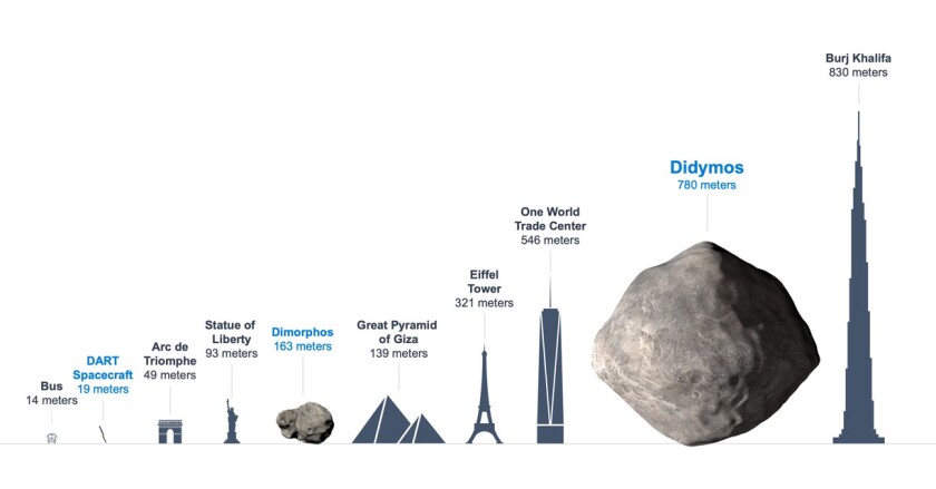 Dimorphos scale