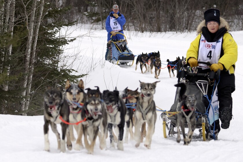 Two mushers on the trail.