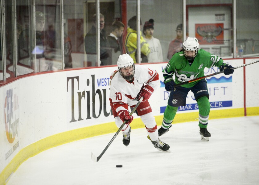 Willmar vs. Litchfield-DC 120122.002.jpg