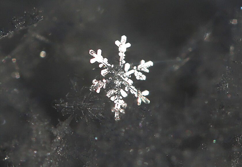 Snowflake in sunshine Jan 15 2022