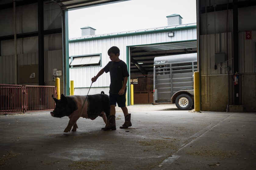 Mower County Fair