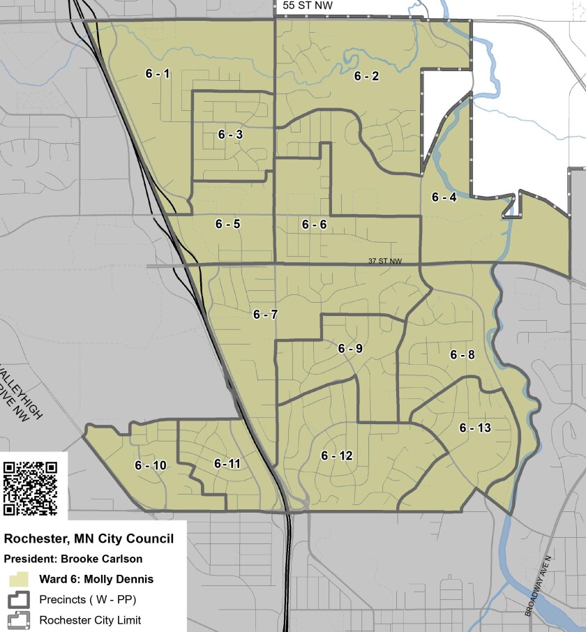 Ward 6 candidates highlight differences during forum - Post Bulletin ...