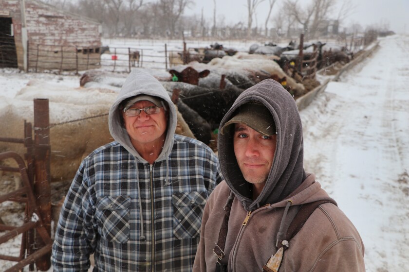 012521.AG.CattleFeedlotDilemma10.jpg