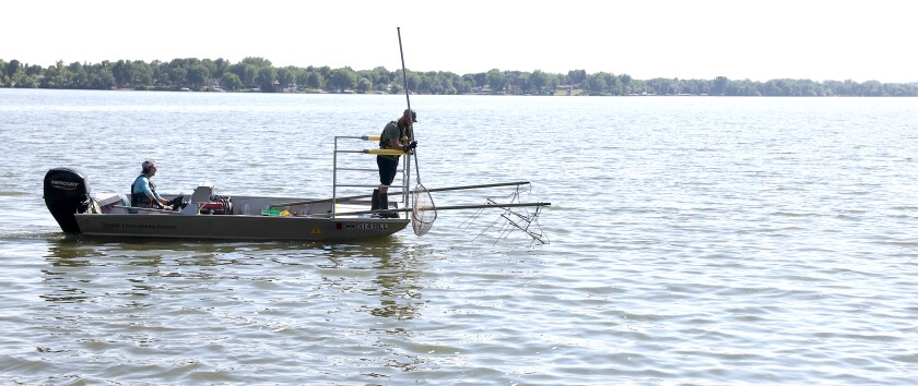 Project assistant Charles Eggberg, left, and William Wright, a fisheries specialist, both at Carp Solutions, use electricity to shock carp to tag and track them Monday on Okapina Lake in Worthington. The tracking is part of a larger effort to remove carp from the lake.