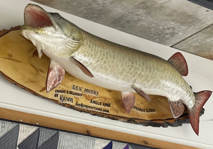 53 1/4 inch muskie