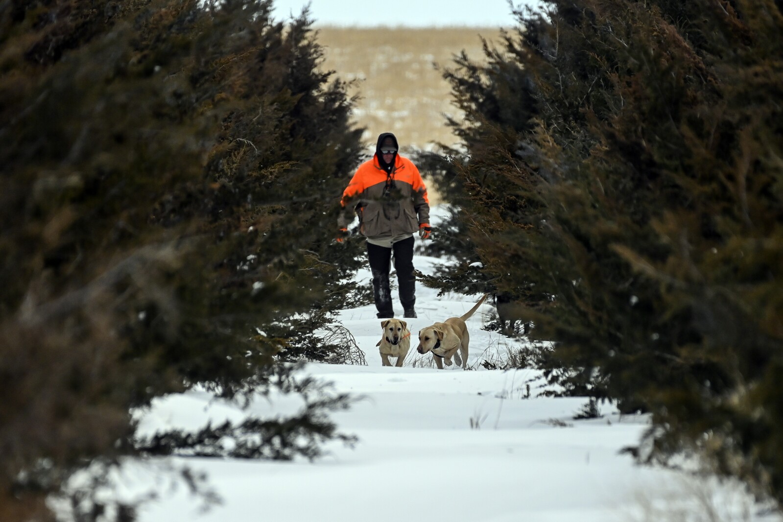 011222.N.DR.HUSKERHUNT88.jpg
