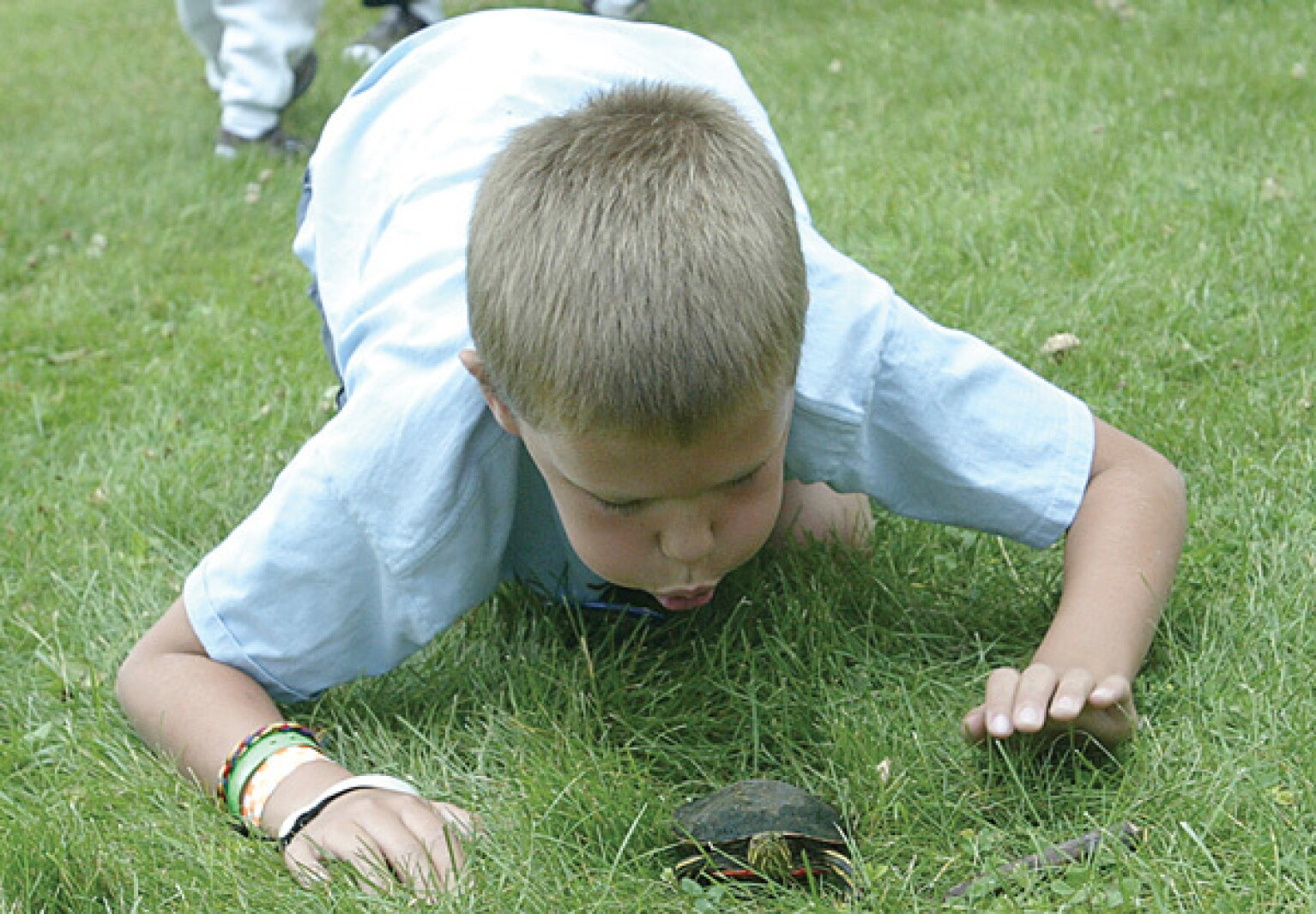 Perham Turtle Races Perham Turtle Fest - Detroit Lakes Tribune | News, weather, sports from ...