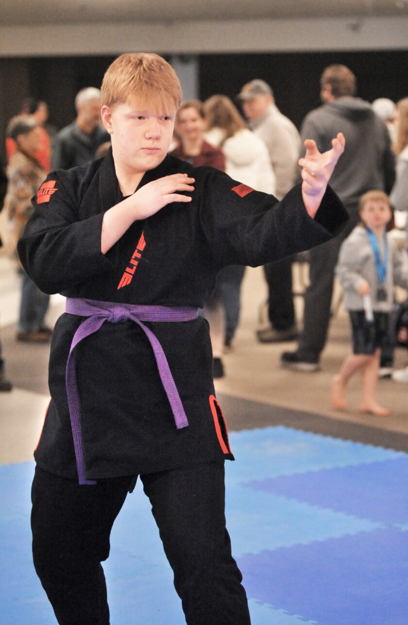 Martial arts competition