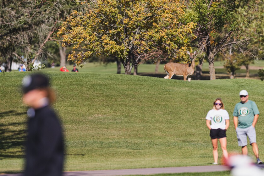 10-3-22AABoysStateGolfTournament-24.jpg