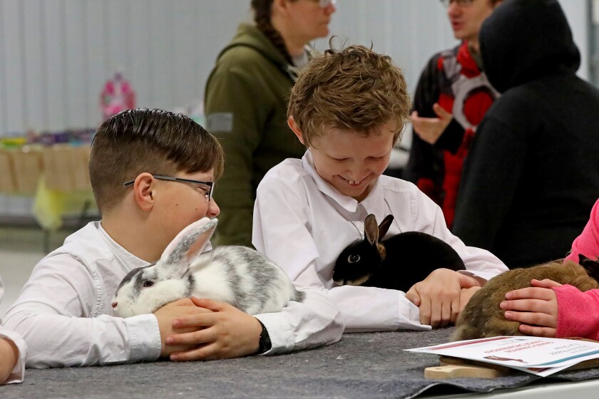 The 14th annual 4-H rabbit fun show and workshop judging Saturday, April 30, 2022, at the Crow Wing County Fairgrounds.