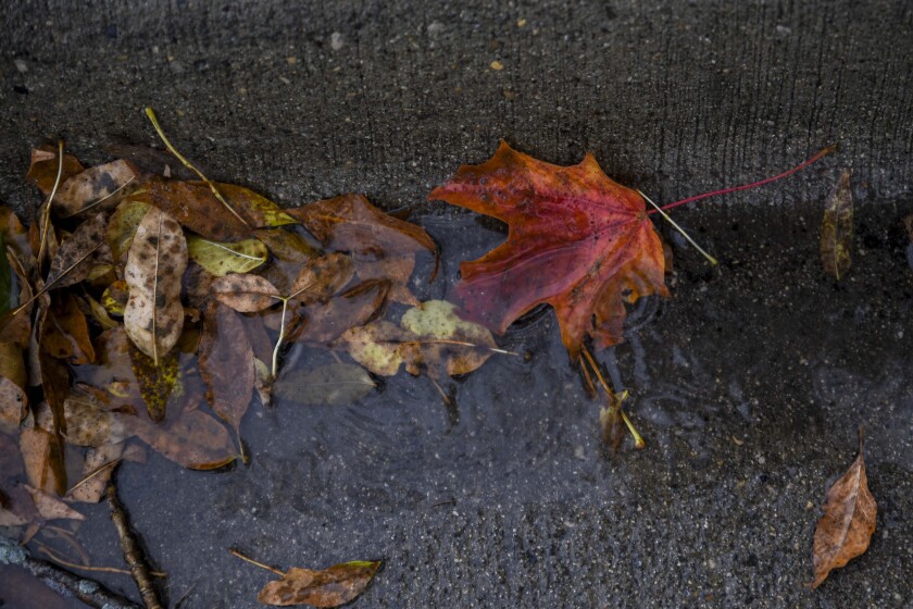 101119.N.WCT.DepressingWeather.0052.jpg