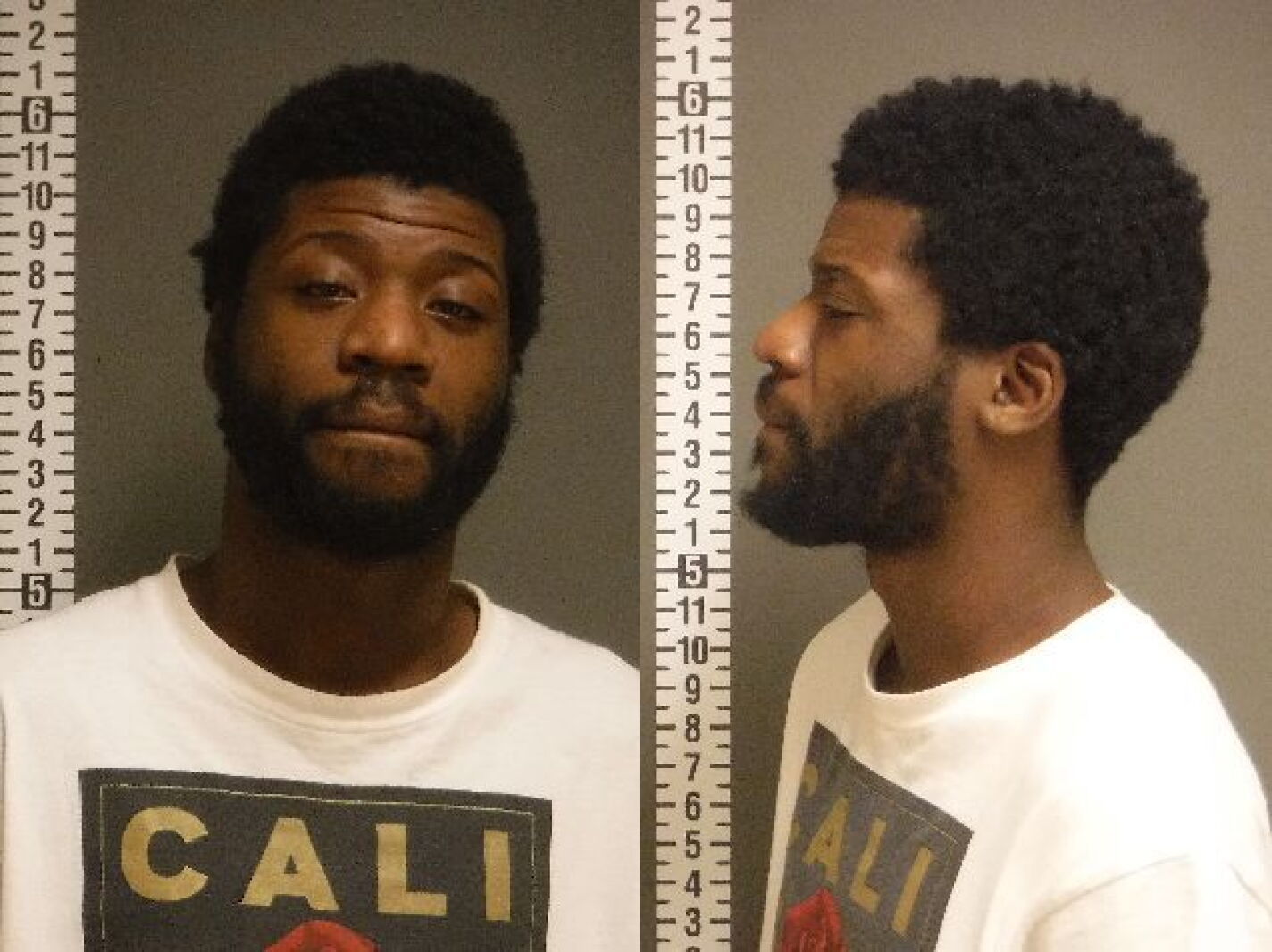 Delaware man sentenced for part in Fargo riot - InForum | Fargo ...