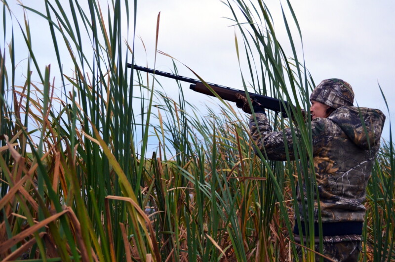 Minnesota Keeps Daily Duck Harvest Limit at Six