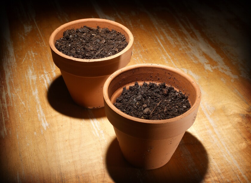 120322.F.FF.GrowingTogether