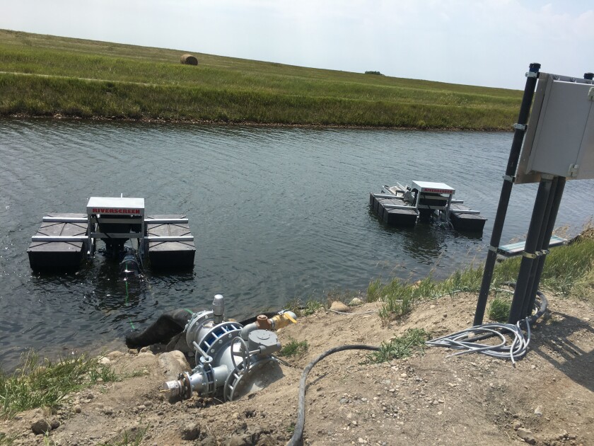092021.AG.DroughtMcCluskyCanalIrrigation12.jpg