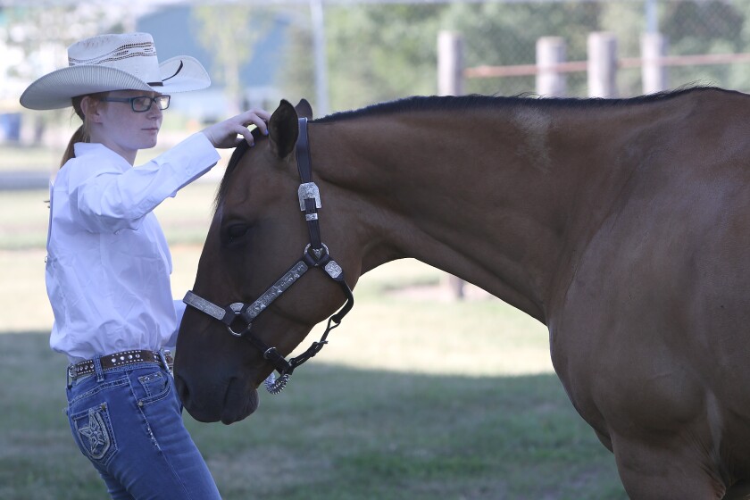 county fair girl n horse 062921