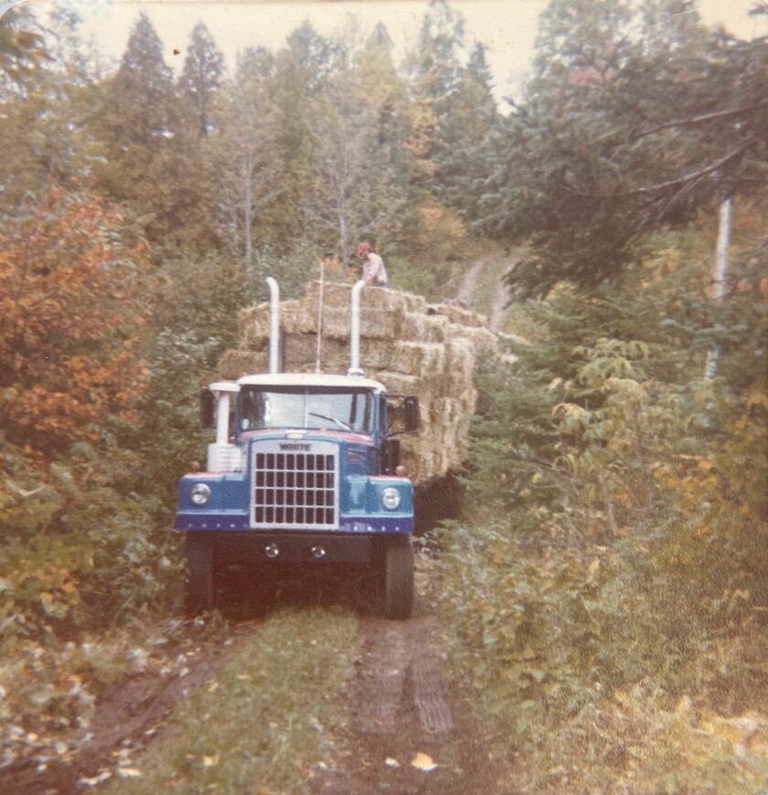 One of Allen Anderson's trucks hauls hay bales through a wooded road