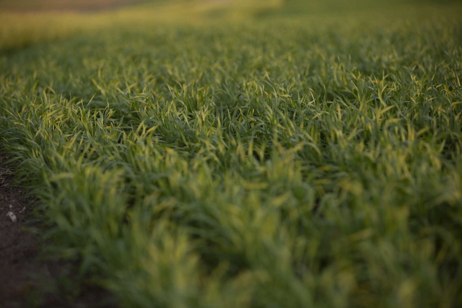 Refresh your memory on farm program payment know-how