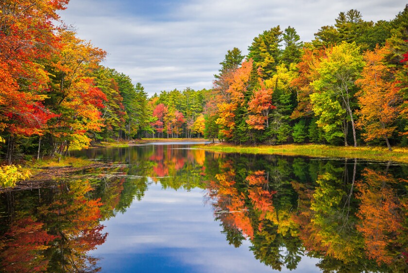 Colorful tree reflections in pond on a beautiful autumn day in N