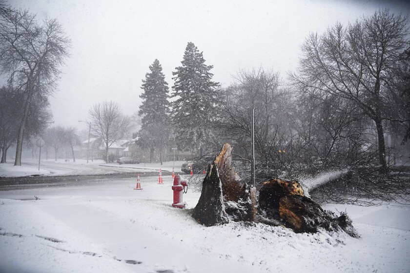 2975623+112016.N.WCT_.SnowPhotos_007.jpg