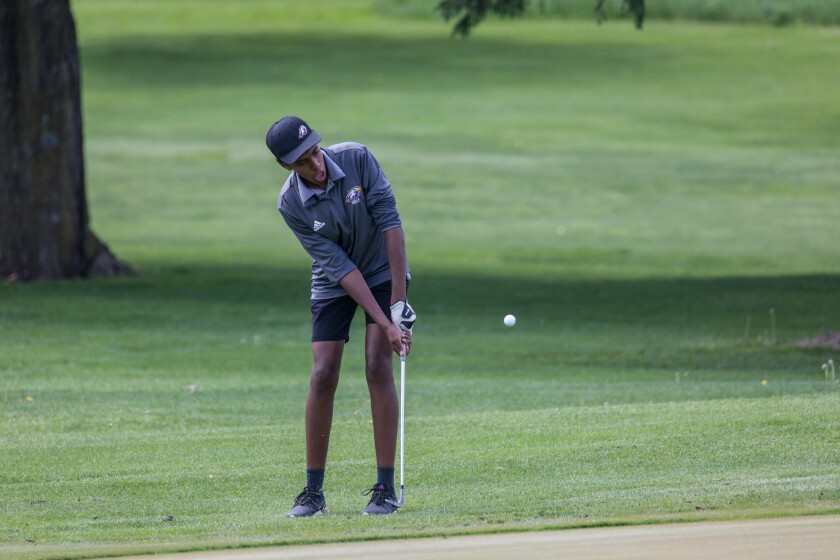 Section 1AA golf finals