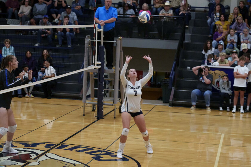 Eert Reverof Heart River dominates Killdeer with straight-set victory - The ...