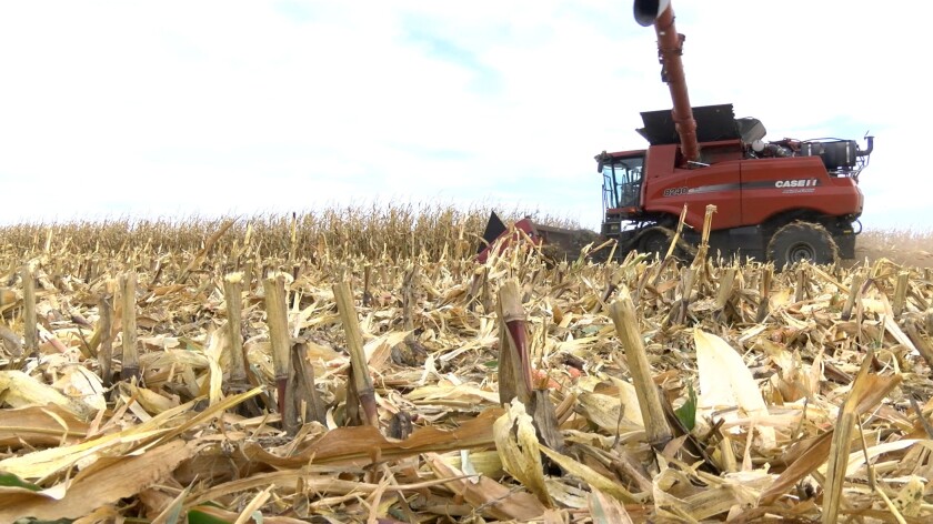 Metz Farm pic 2.jpg