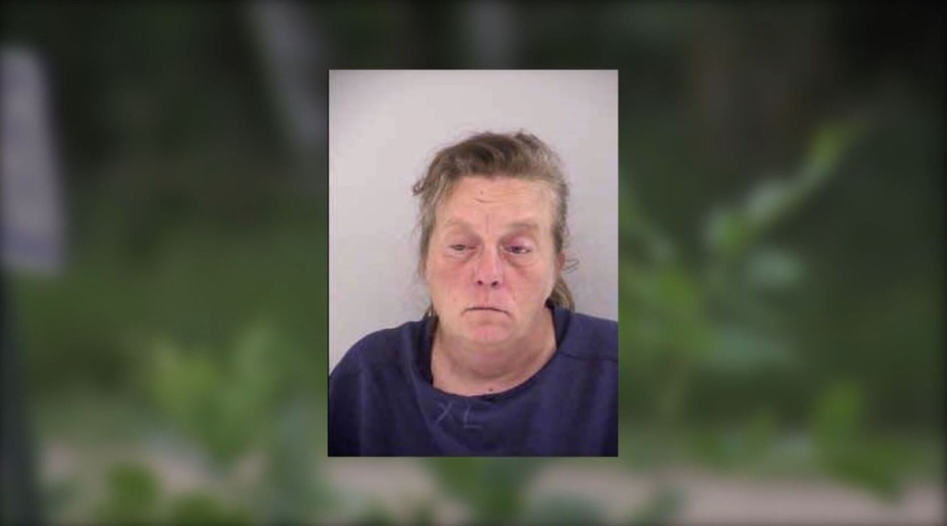 Gonvick woman faces charges of vehicular homicide Grand Forks Herald