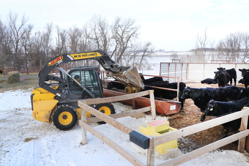 021521.AG.LivestockWeberBeef04.jpg