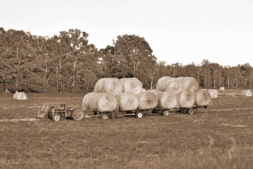 071622-hay-tractor-field-shutterstock.jpg